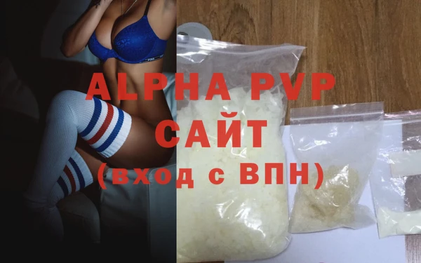 сатива Аркадак