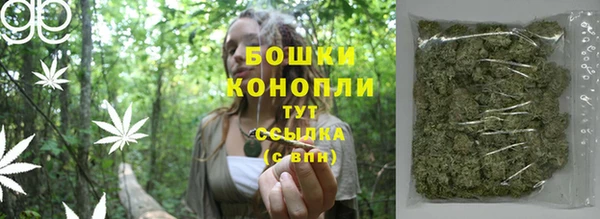 сатива Аркадак