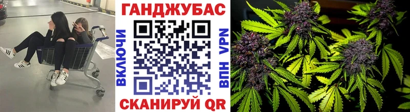 МАРИХУАНА гибрид  Славгород 